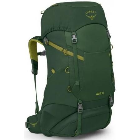 Рюкзак Osprey Ace 38L (10006508) green canopy